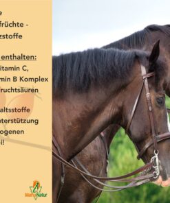 getrocknete hagebutten