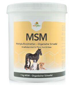 MSM 1 kg