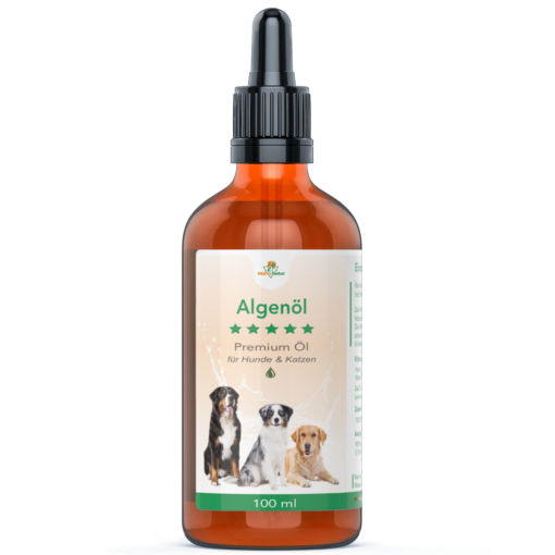 algenöl für hunde