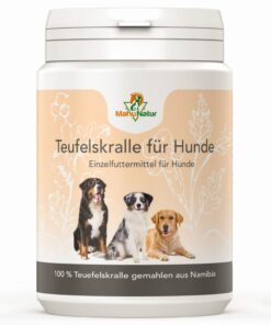 teufelskralle hund
