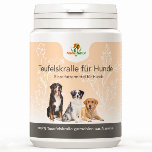 teufelskralle hund